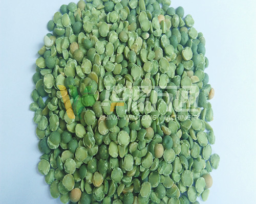<a href=http://www.bjzgmy.com/product/8/ target=_blank class=infotextkey>豌豆脫皮機(jī)</a>